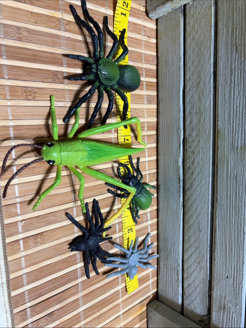 Assorted Toy Insects - Bright Green Grasshopper & Spiders